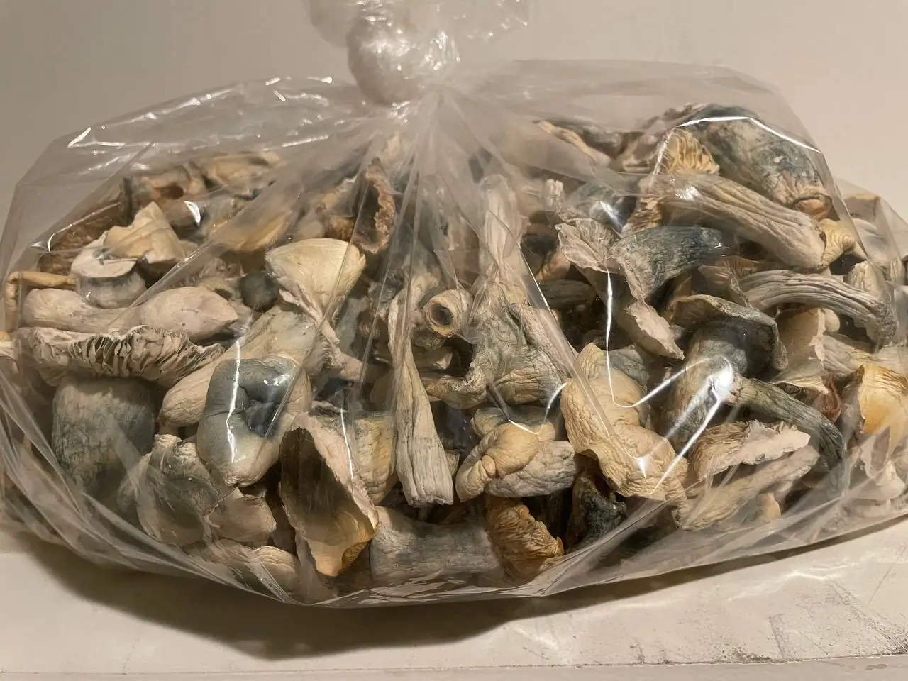 Armillaria Mellea/zhen Mo Dried Armillaria Mellea Mushroom Supply Honey