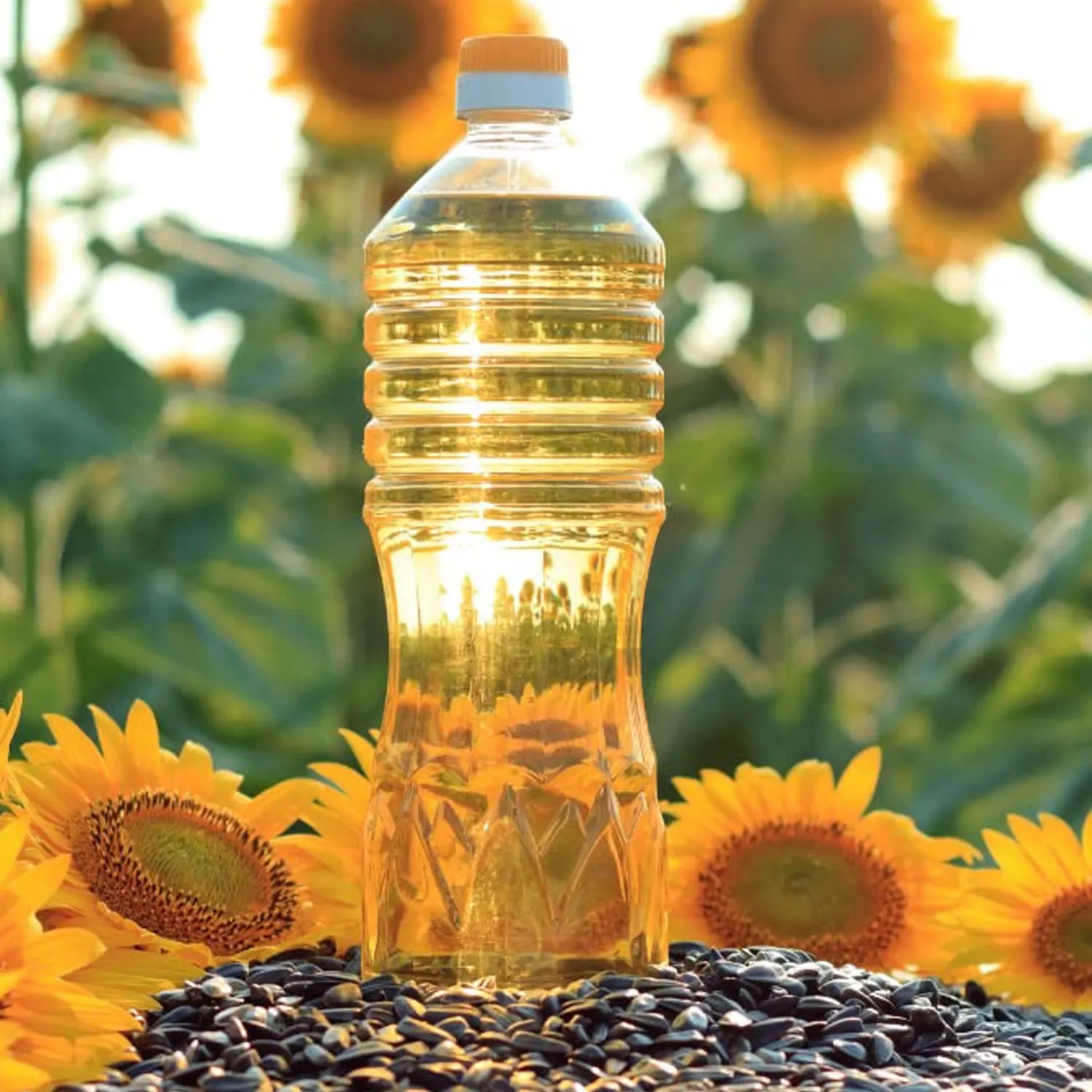 Premium Sunflower Oil 100 Pure Nongmo Oil Enriched With Vitamin E