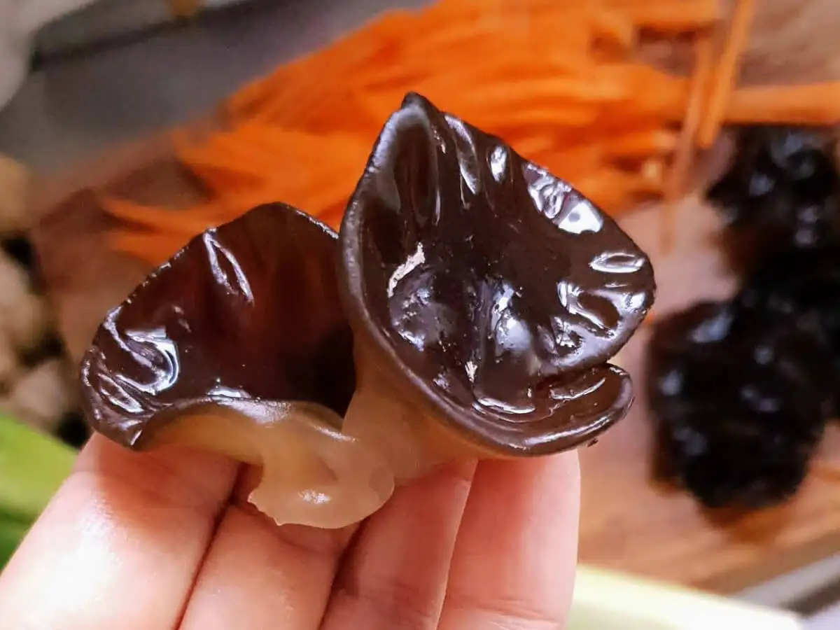 Hot Sale 2023 New Dried Natural Small Wood Ear Mushrooms With Low Price