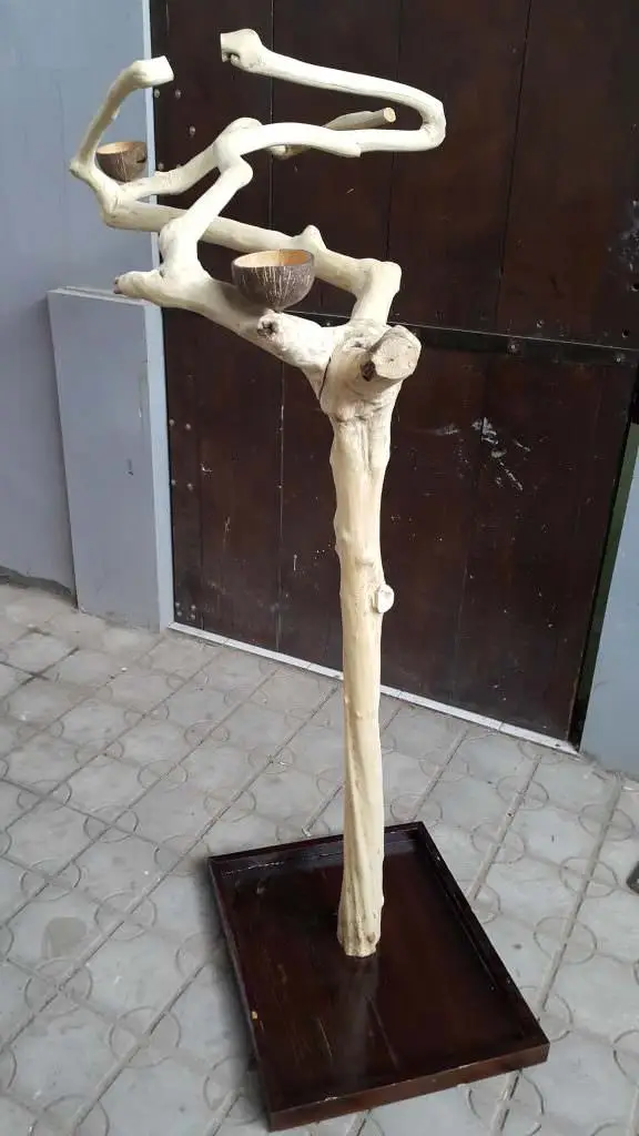 Java Wood Coffee Wood Parrot Bird Perch Tree Parrot Playstand Bird Toys