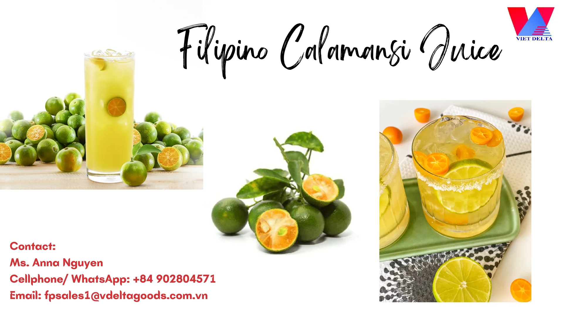 Frozen Concentrate Calamansi Juice Anna Buy An Evergreen Tree