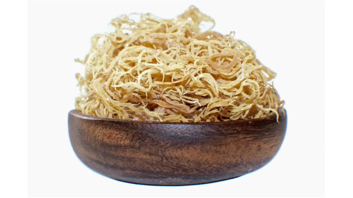 High Most Quality Dried Sea Moss From Vietnam / Best Price Export/ Good For Your Health Buy