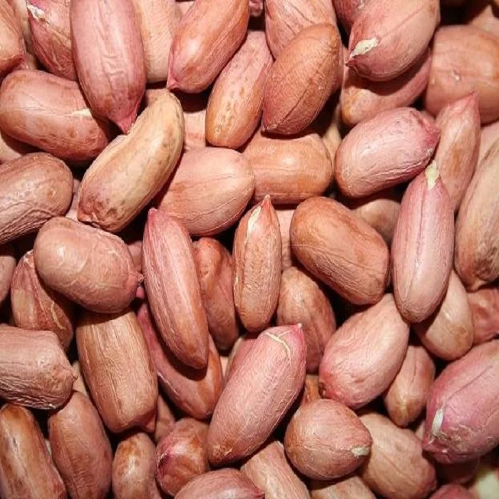 Raw Groundnuts Peanuts With Free International Shipping Dried Organic ...