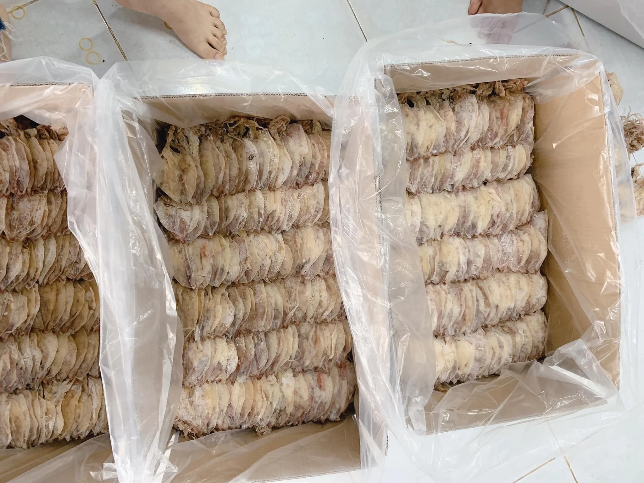 Vietnam Dried Squid Vietnam Seafood Exporter Good Price Ms Kathy