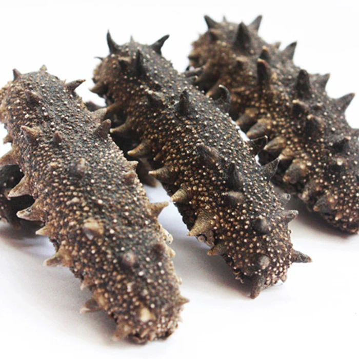 Dried Sea Cucumber Food & Beverage Seafood Cucumber Buy Organic Sun