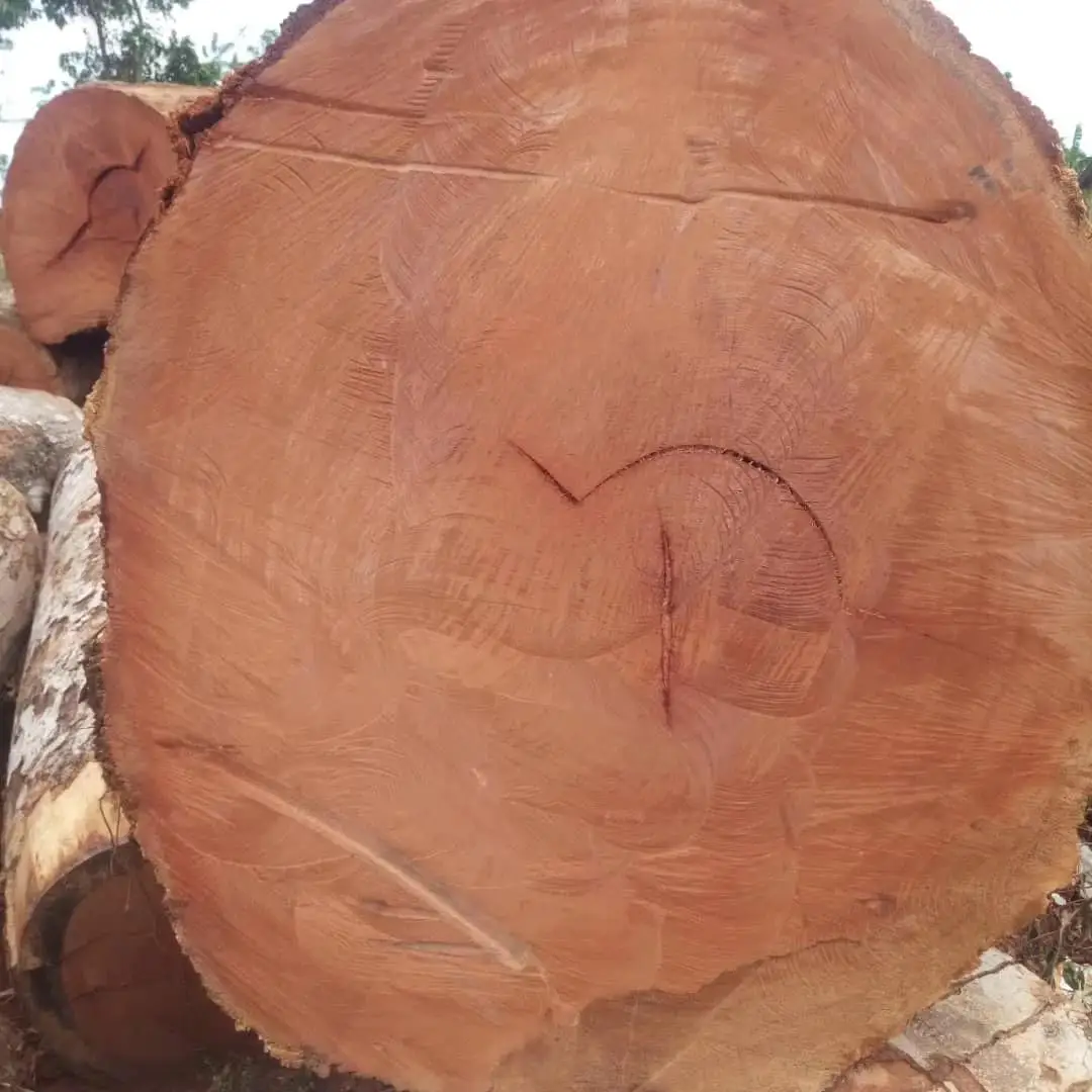 Red Round Oak Wood Logs / Pine Sawn Wood Logs Pine Round Wood For Sale