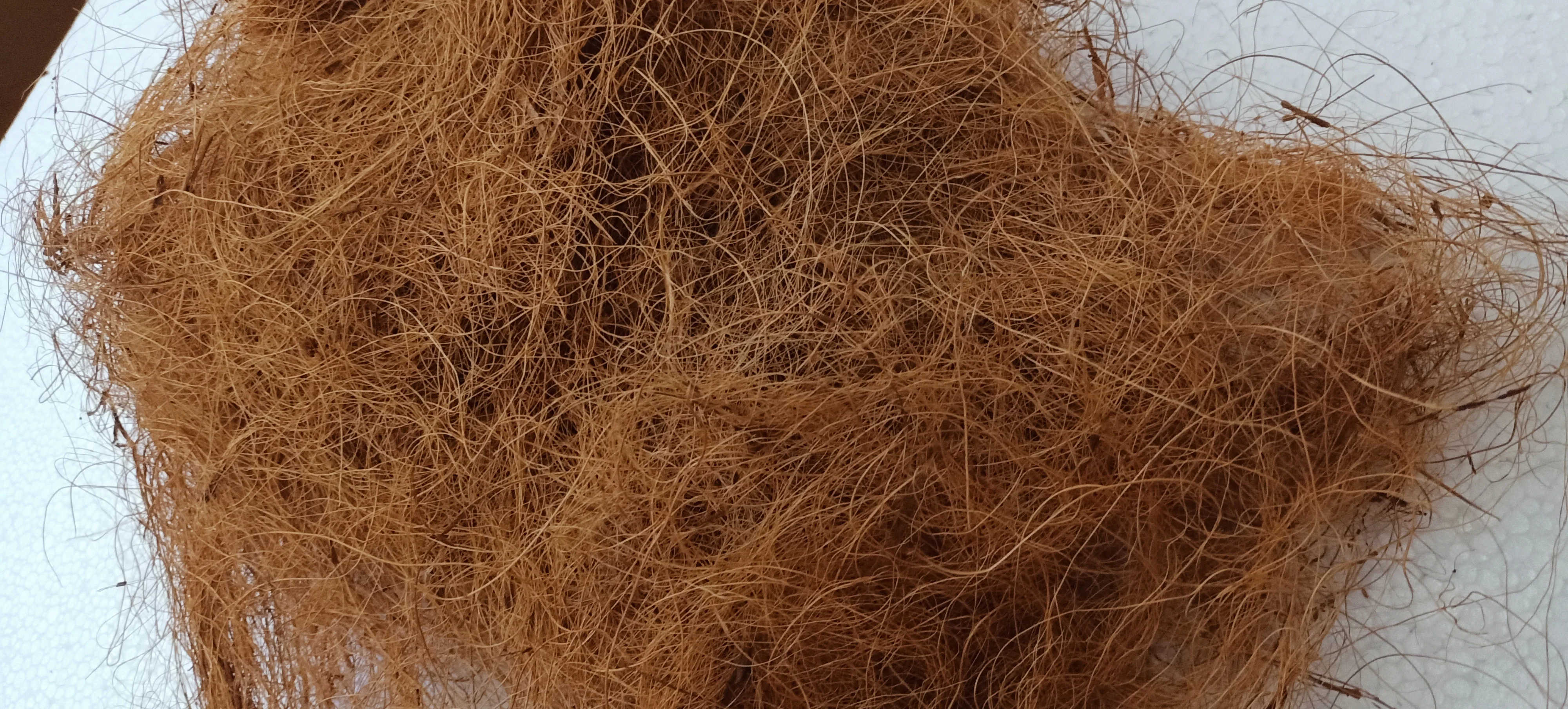 Custom Made Natural Coir Fibers Obtained From Coconut Fiber Ideal For ...