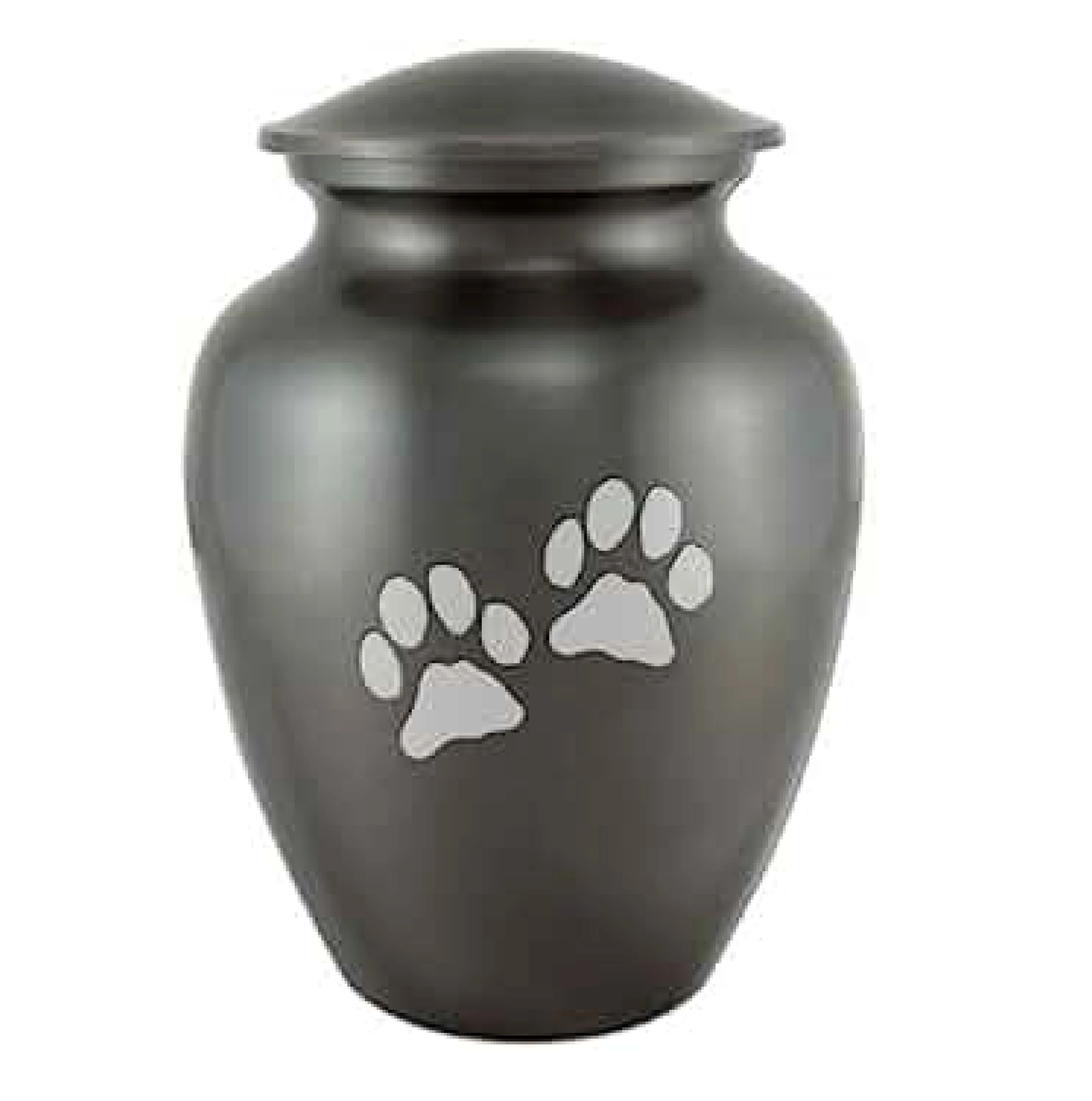 Wsdg/Pet Cremation Melbourne Fl.Html - e08mi42