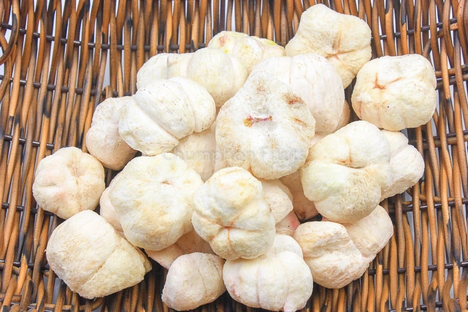 Freeze Dried Mangosteen Buy Fruit Dried Fruits Dry Fruits Fruit