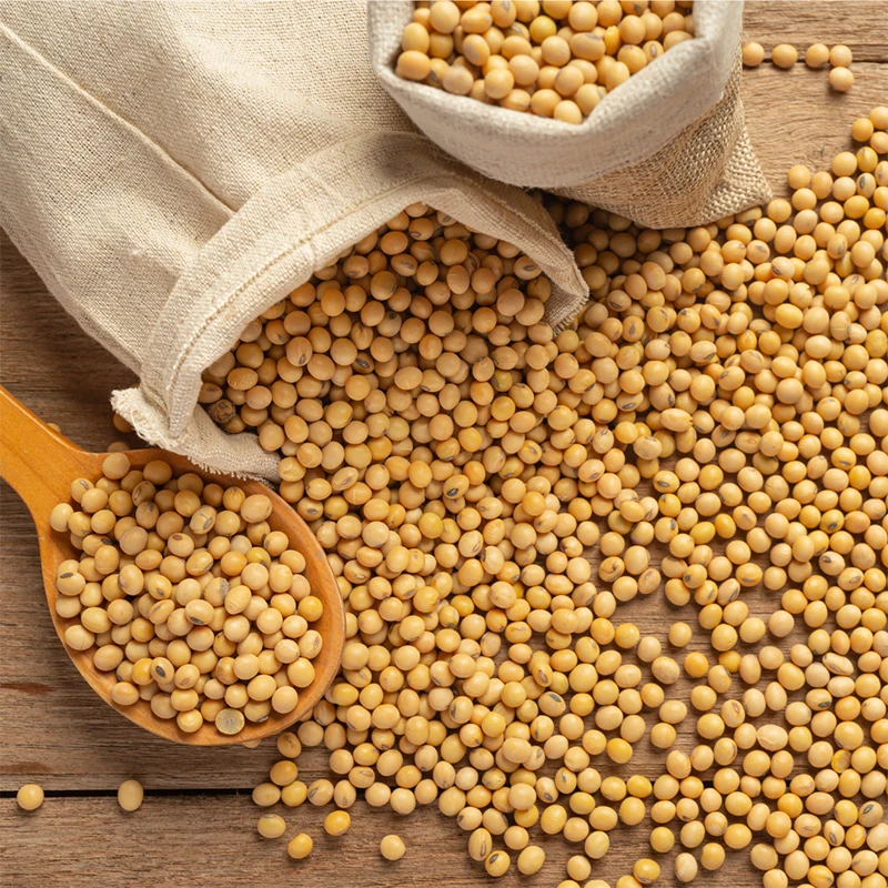 Brazil Soybean Wholesale Prices Private Label Current Food Supplier