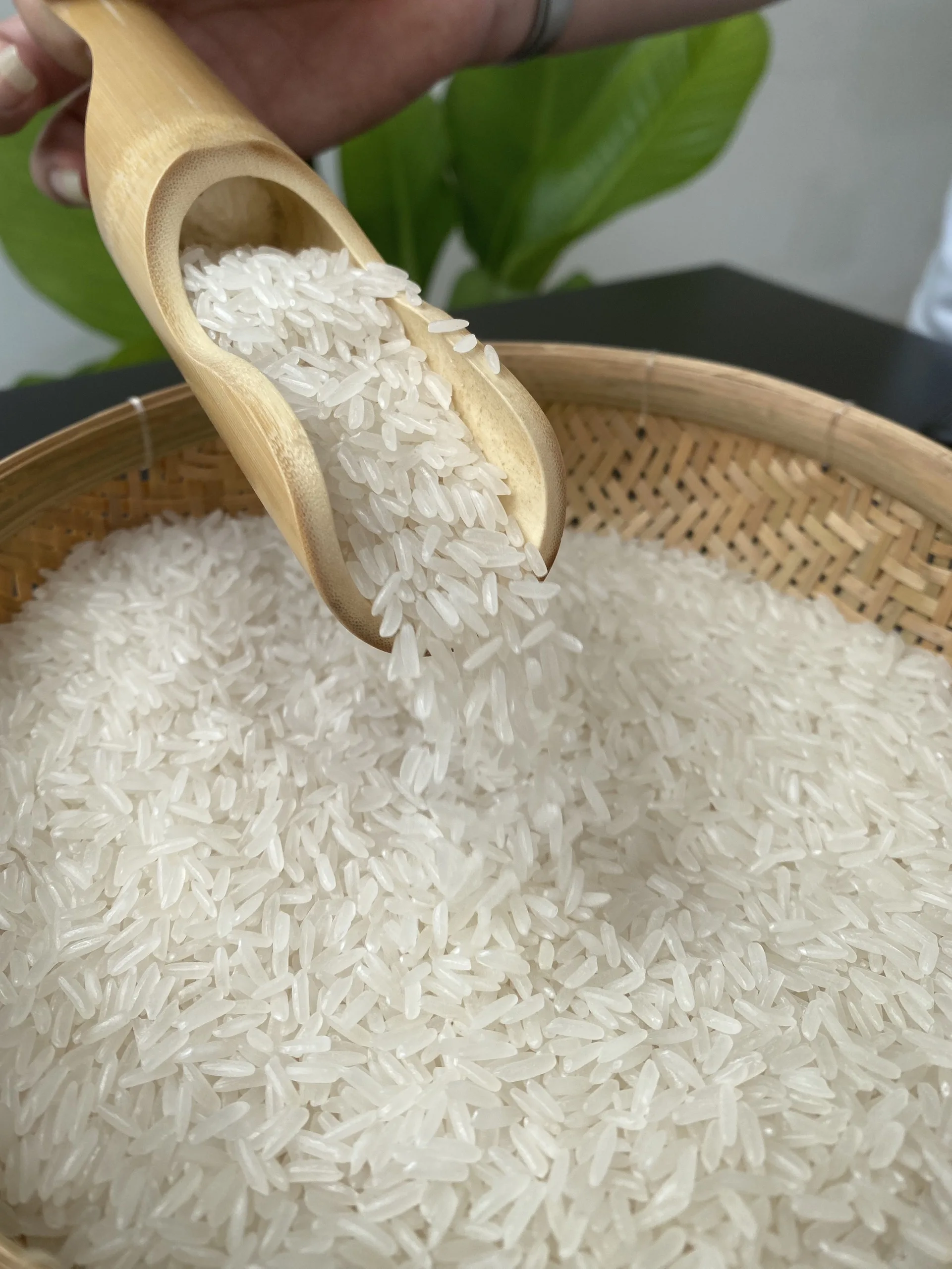 Jasmine Rice For Africa Market +84 976727907 (whatsapp Ms Carolina