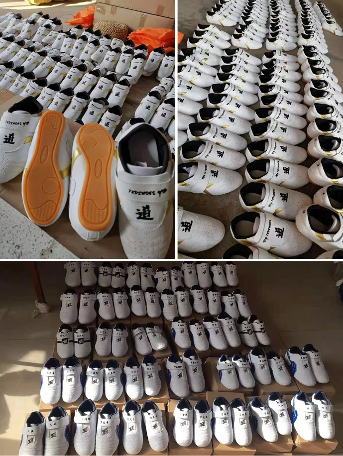taekwondo shoes.png