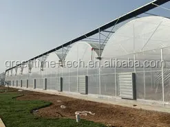 Gutter Connected Multi Span Film Greenhouse With Frame Sell Used For ...