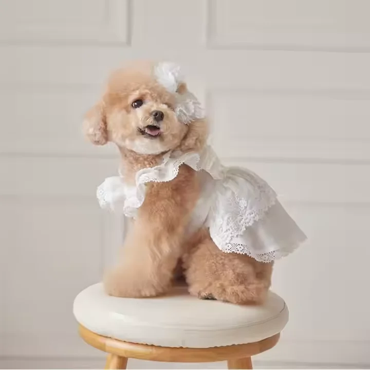 Kangdarpet Summer Dog Cute Dress Pet Skirt Dog Clothes Bow Dog Princess  Dress with Lace Decoration for Puppy