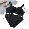 /product-detail/hot-style-low-price-women-honeymoon-bra-panty-set-new-model-ladies-bra-top-set-62224037452.html