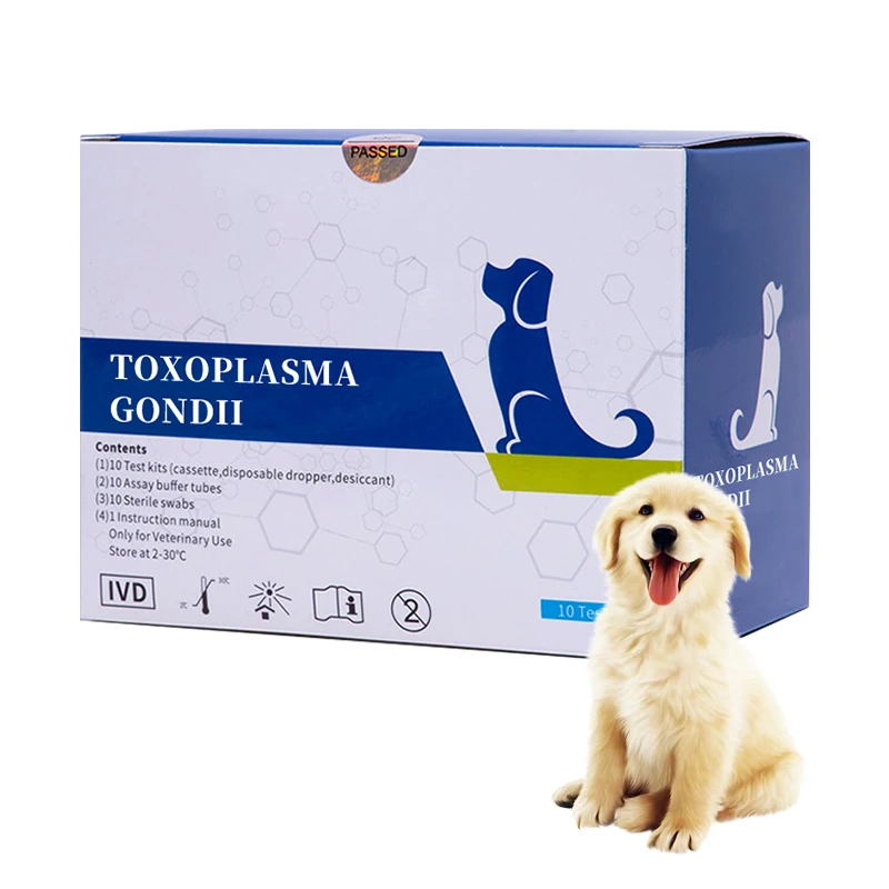 High Accuracy Rabies Antigen Test Kit Test For Rabies In Dogs Buy