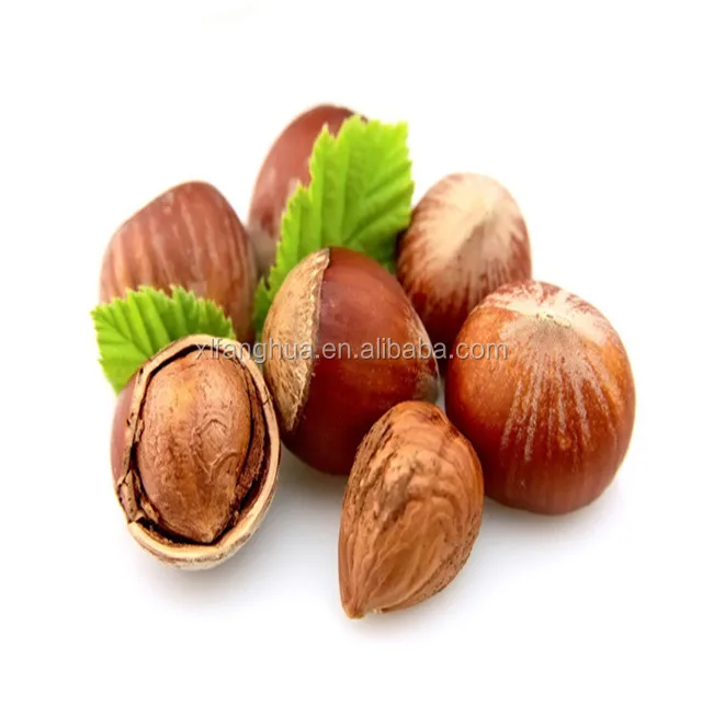 Open Hazelnut Snack Buy Healthy Snacks,Hazelnut,Chinese Snacks