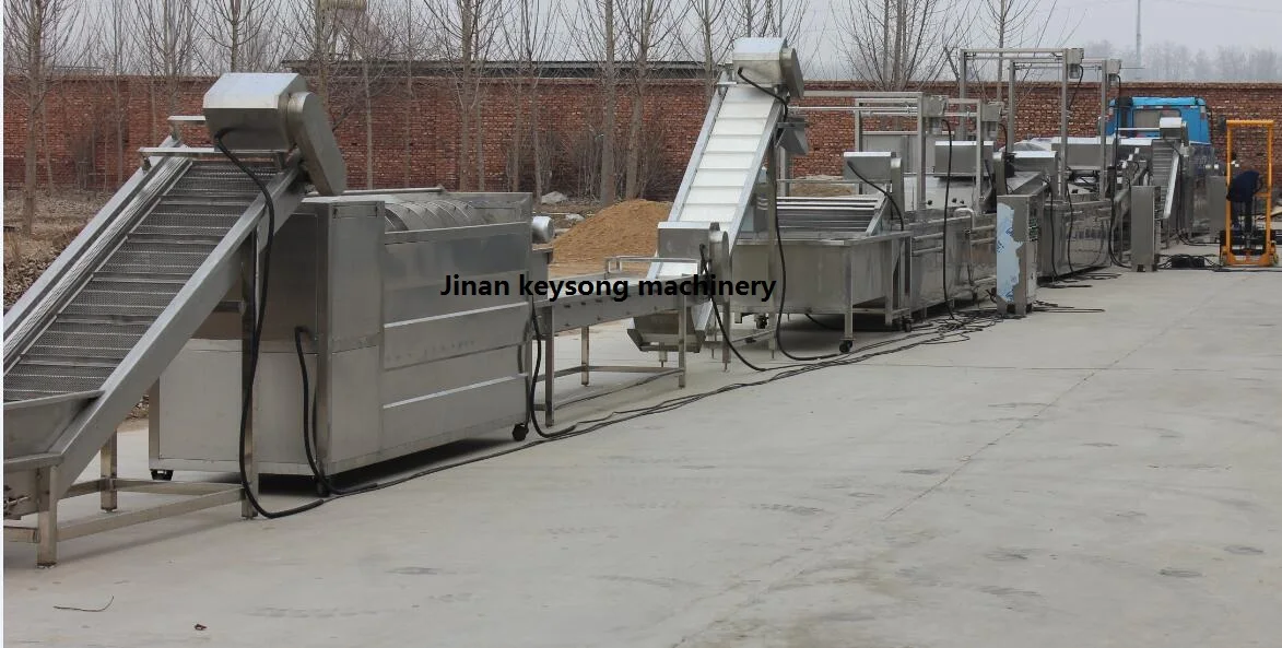 100kg potato chips line.jpg