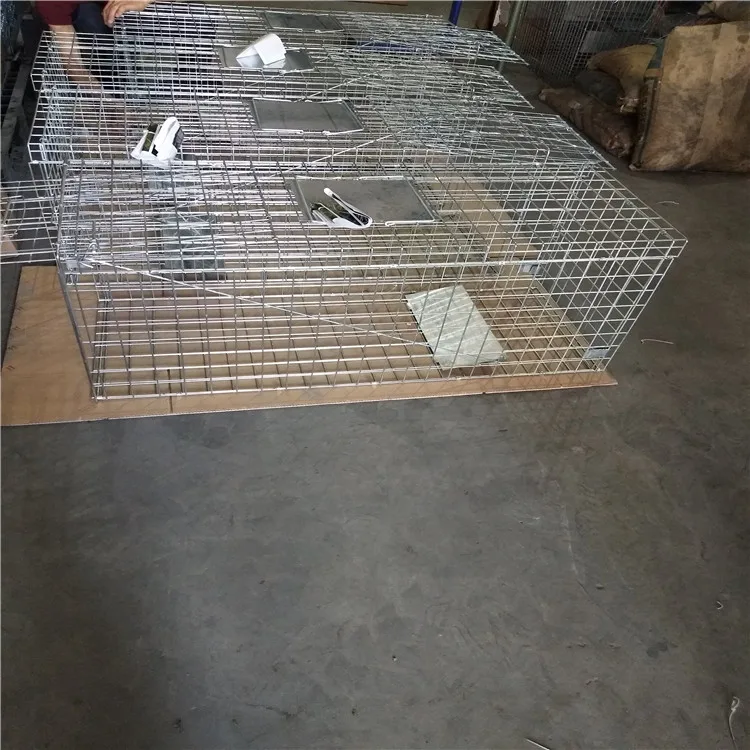 cage traps01
