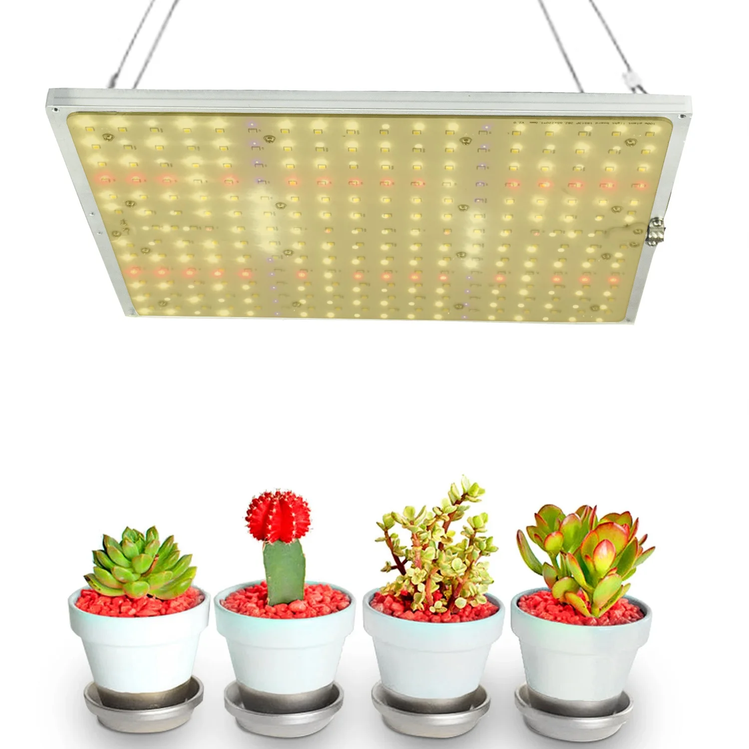 120W Full Spectrum Indoor Best Bloom LED Grow Light for Indoor Plants Growing Blooming