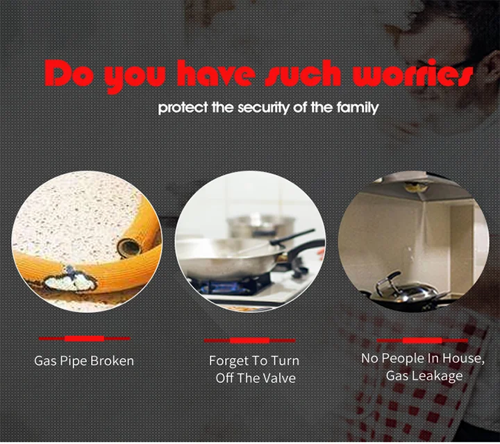 Low Price 220v Natural Gas Detector With Valve Cut Off Gas Leaking Coal