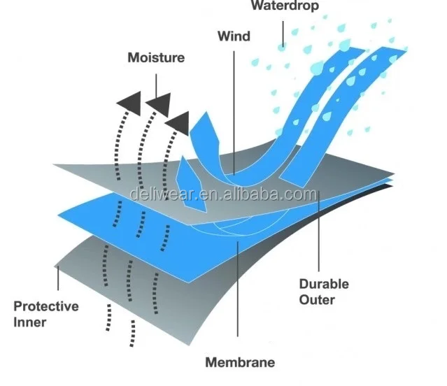 aa