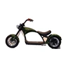 2019 new design >60v 2000w Electric Citycoco scooter adult electric motorcycle scooter EEC