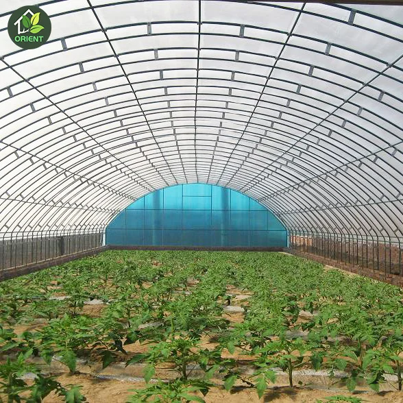 Single Span Greenhouses In South Africa Rdwc Hydroponic System Buckets
