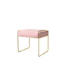 Rectangle Mid-Century Modern Luxe Velvet Ottoman Velvet Footrest Stool Footstool Side Table