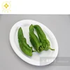 100% Corn Starch Biodegradable Food Trays Eco-friendly Dinnerware Composable Plates