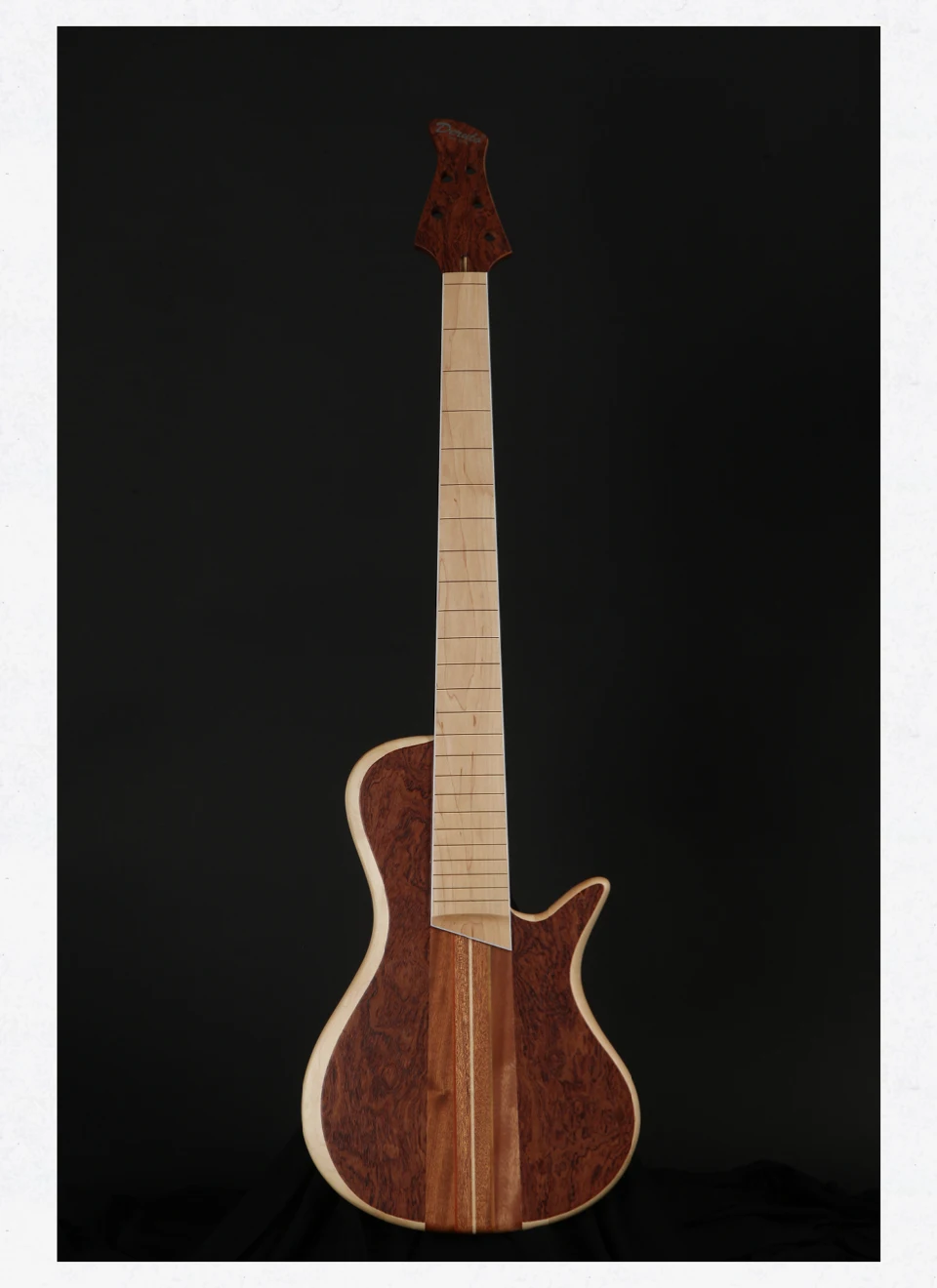 Custom DIY Electric Bass Guitar