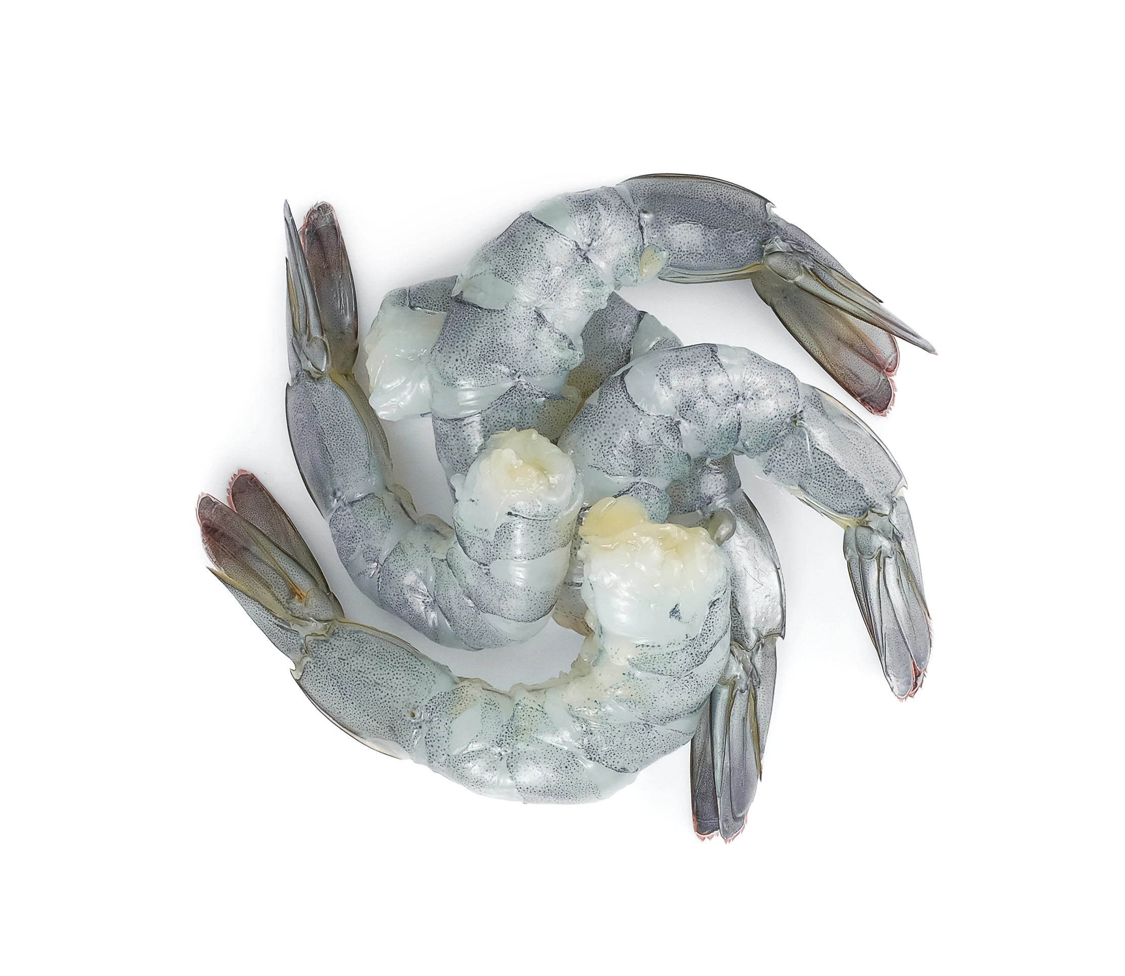 Frozen Shrimp Seafood From Thailand Frozen Shrimp Vannamei Wholesale