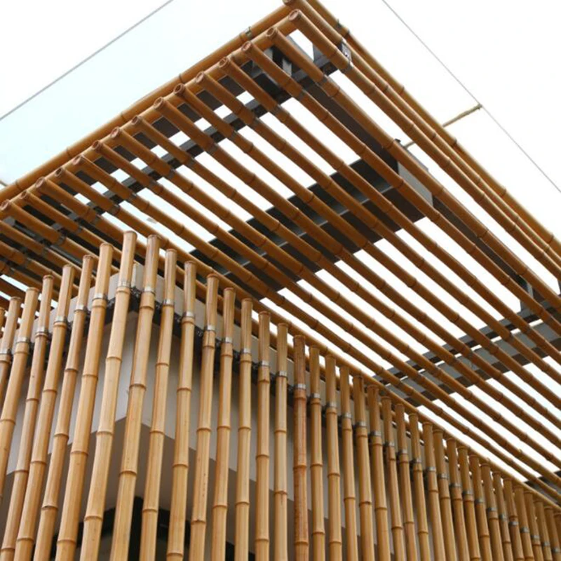 bamboo12.jpg