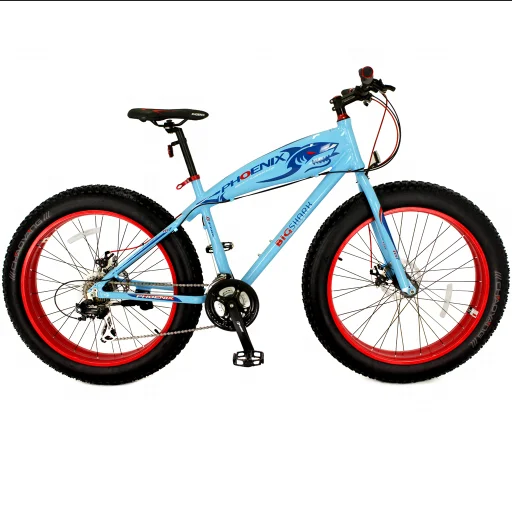 Bicicleta bonita Clearance