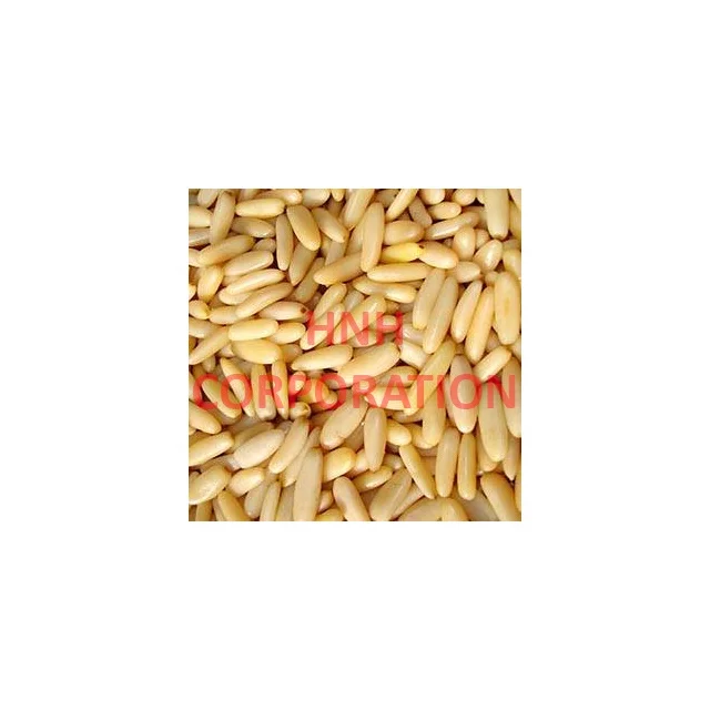 
Raw Pine nut kernels / Pine nut without shell / Pakistani Pine Nuts 