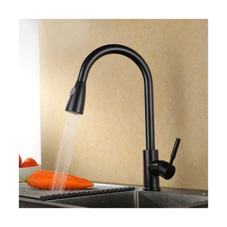 Economic Flexible Pull Out Kitchen Faucet - Vintage Matte Black