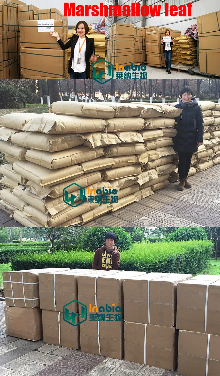 Lyna Herbal Cigarette Raw Material Marshmallow Leaf/marshmallow Cut