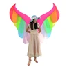 Adult Fancy Dress Inflatable Butterfly Rainbow Wings With Smart Decorations For Wholesale