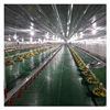 China Factory Supplies Price Modern Poultry Chicken Coop House for Broiler and Egg Laying Hens