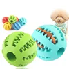 /product-detail/soft-pet-dog-toys-funny-interactive-elasticity-ball-cat-puppy-chew-toy-for-dog-tooth-clean-ball-of-food-extra-tough-rubber-ball-62424348601.html