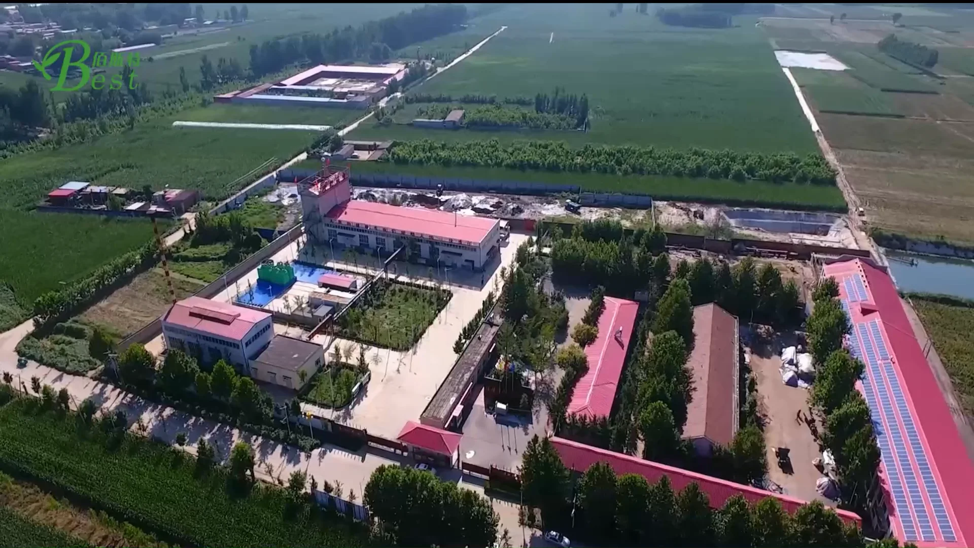 Best Price Onion Extract Powder/onion Juice Extract Buy Onion Juice