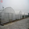 Bamboo Seeding Plastic Commercial Multi Span Used Greenhouse Aquaponics System