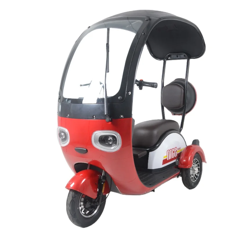 China Electric Tricycle 3 Wheel Ebike With Roof Moped Electric Tricycle