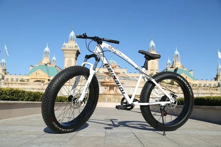 beinaiqi fat bike