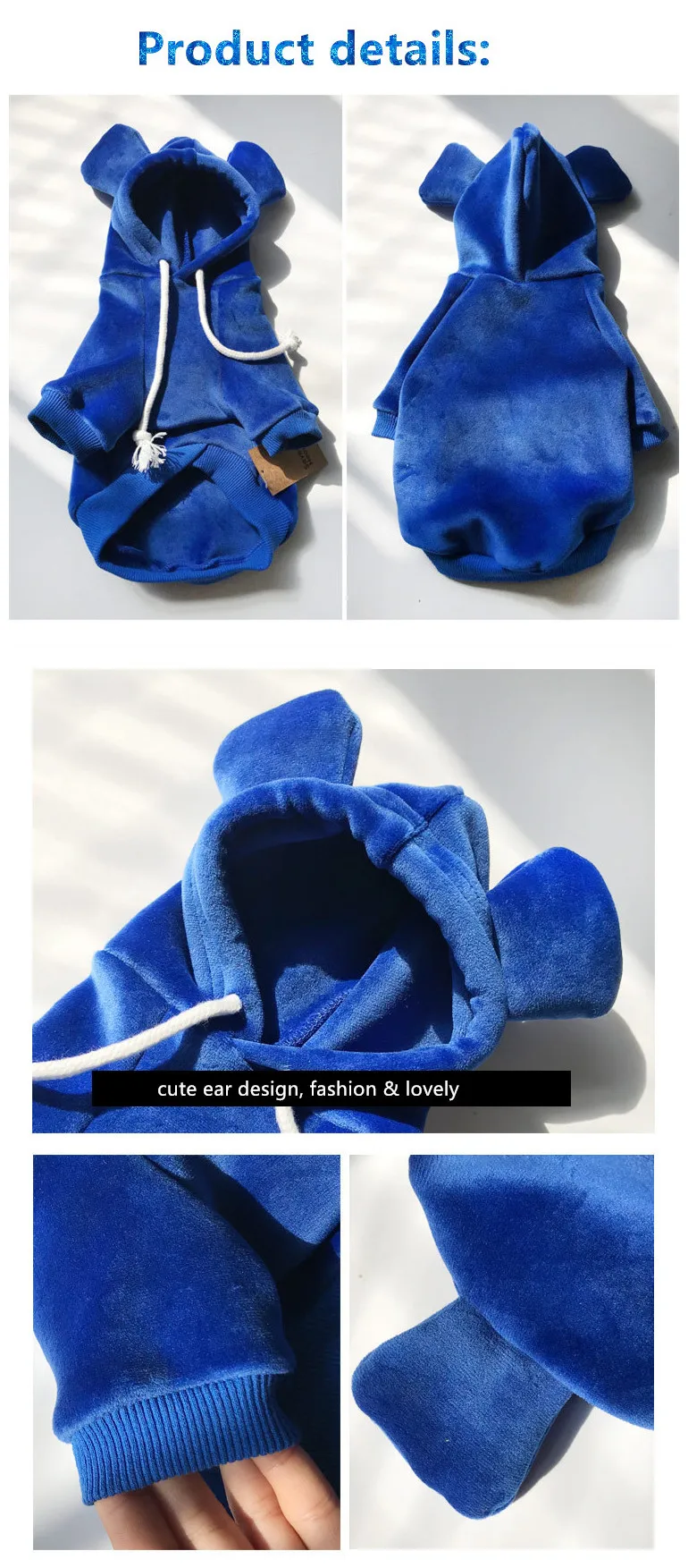 dog match owner clothes.jpg