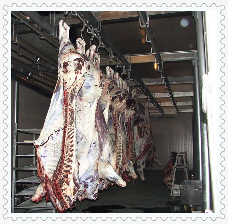 Commercial Custom Slaughtered Meat Explosion Freezer Beef Slaughterhouse