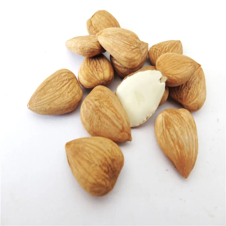
apricot kernel 