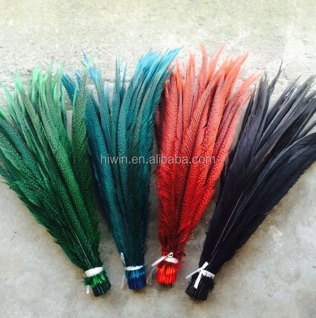384254533876630933.jpg