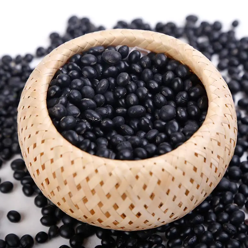 free sample dried natural black bean in bulk with good price