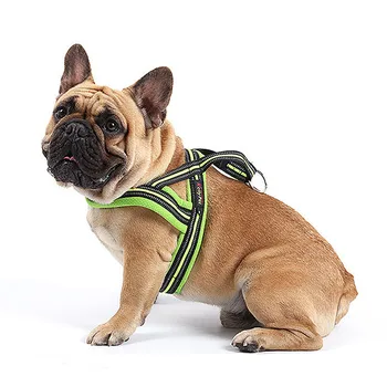 petco dog harness